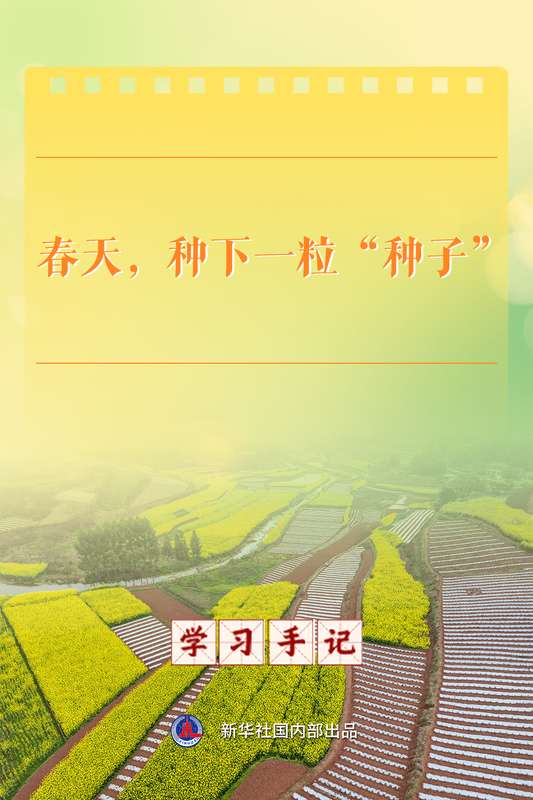  一粒种子，托举农业现代化梦想；春意盎然，种业自强之路坚定。 新闻