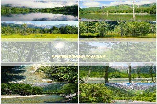 用户网络体验飙升数百倍的秘密方法