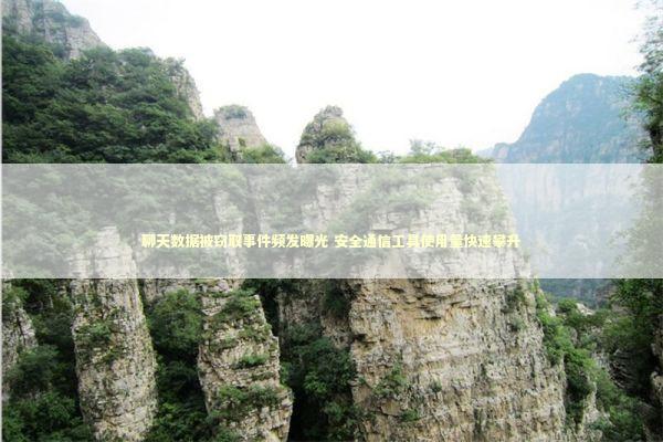 聊天数据被窃取事件频发曝光 安全通信工具使用量快速攀升 聊天数据被窃取事件频发曝光 安全通信工具使用量快速攀升 新闻