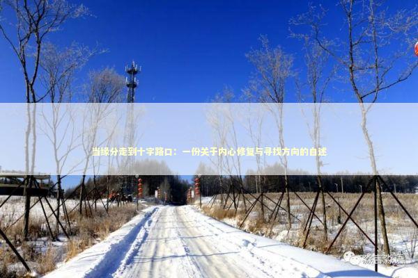 当缘分走到十字路口：一份关于内心修复与寻找方向的自述 情感心理